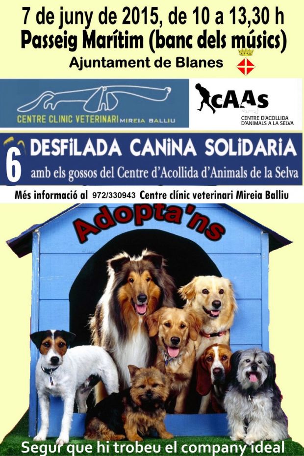 1433415603Cartell Desfilada Canina 2015.jpg